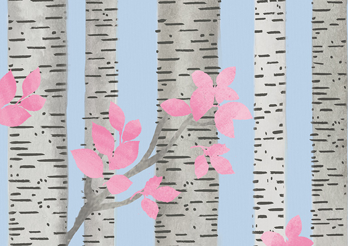 Birch Tree Velvet, Spring Pastels - Twist&Fit Roman Blind - Image 7